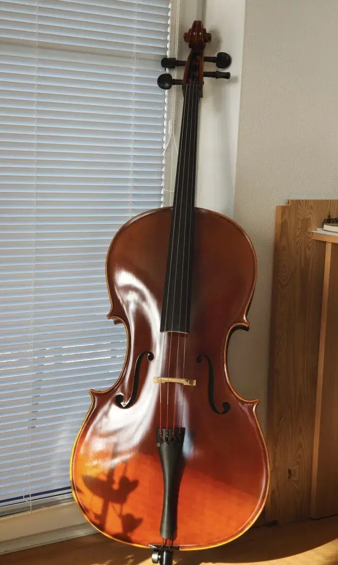Violončelo 4/4