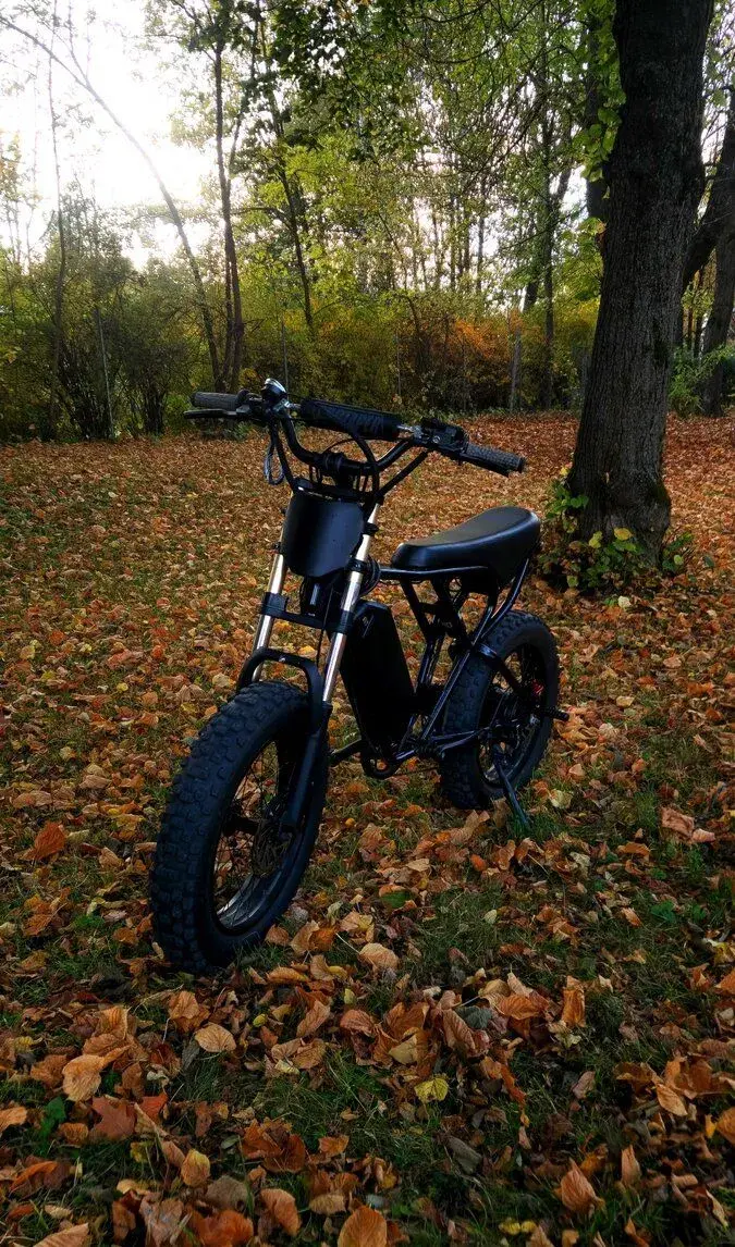 Ridstar Q20 1500W