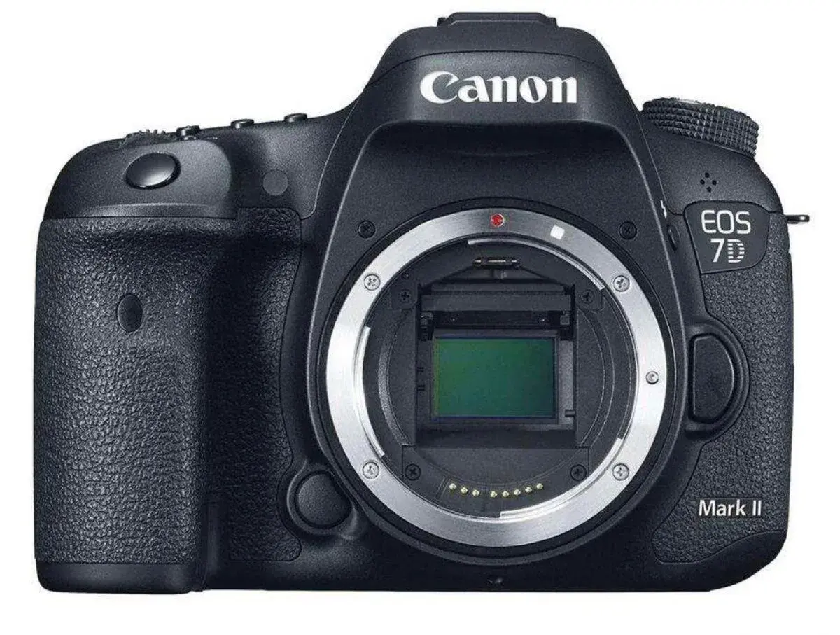 Canon EOS 7D + Tamron 17-50 f/2.8 + Canon 50 f/1.8 + grip