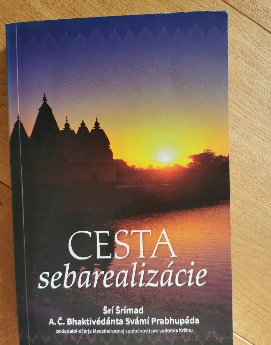 Cesta sebarealizácie