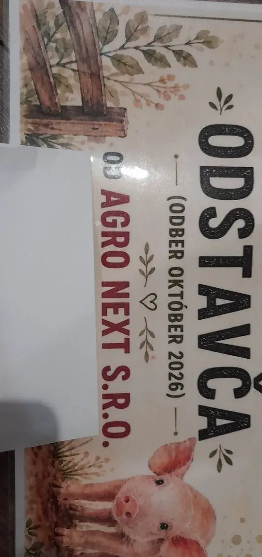 Prasiatko,Odstavča