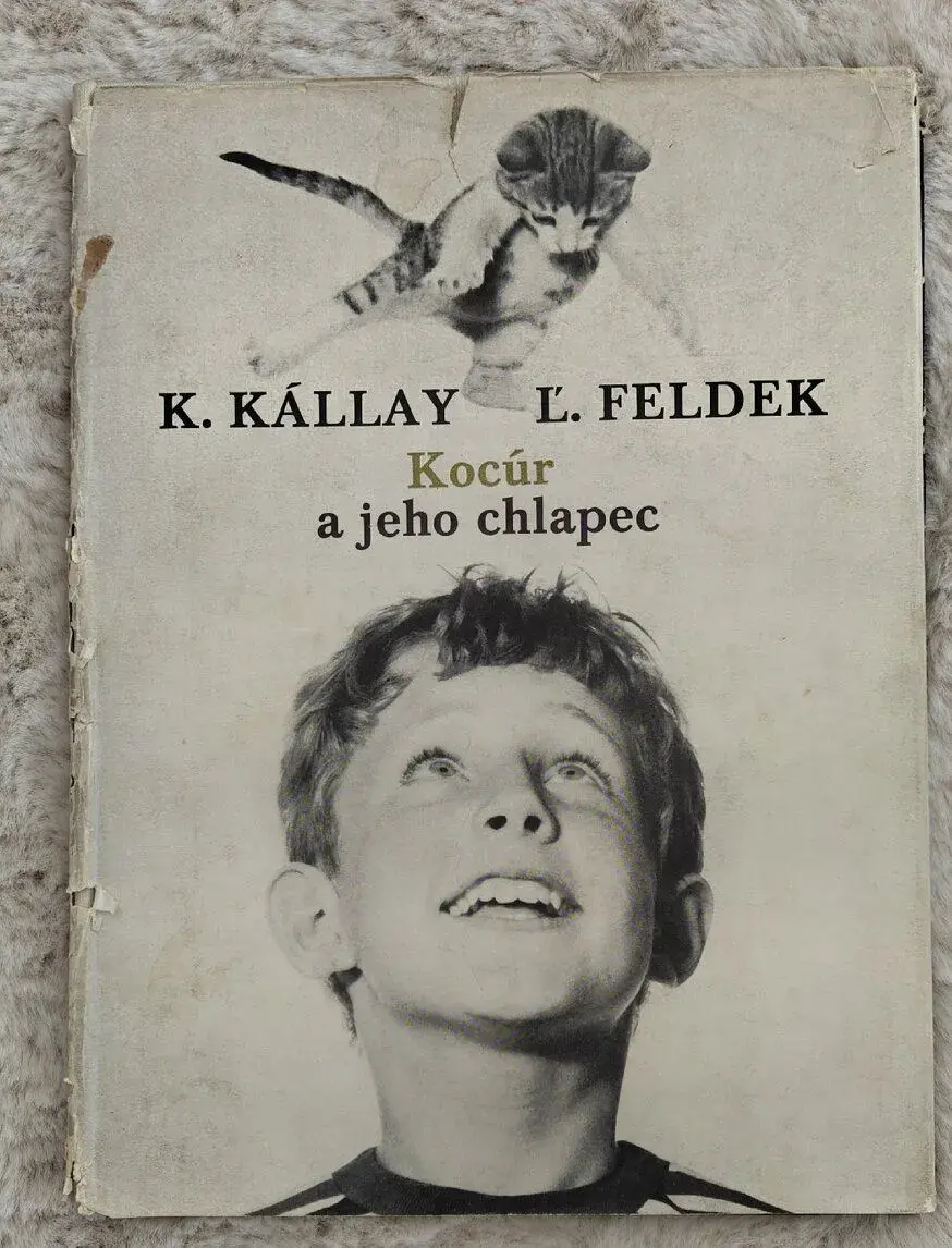Ľubomír Feldek – Karol Kállay: Kocúr a jeho chlapec