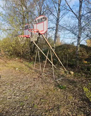 Basketbalove kose