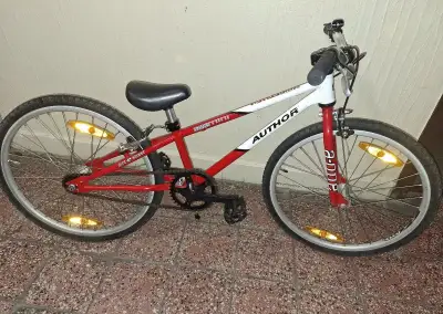 Bikrosovy baik 20kola Author mini