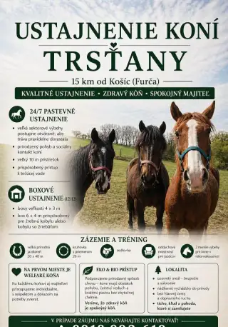 Ustajnenie koní