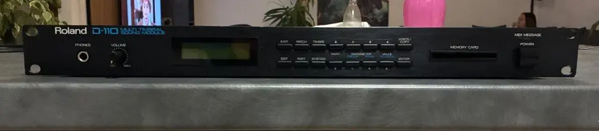 Roland D110