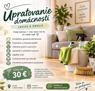 Upratovanie domácností bytov,domov Želiezovce,Levice okolie