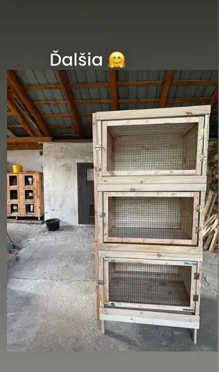 Kralikaren