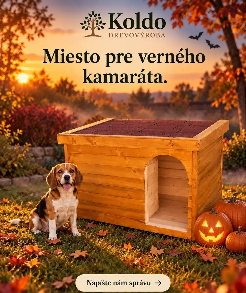 Psia búda