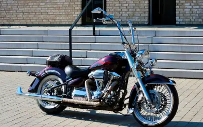 Yamaha 1600 Custom Wild Star