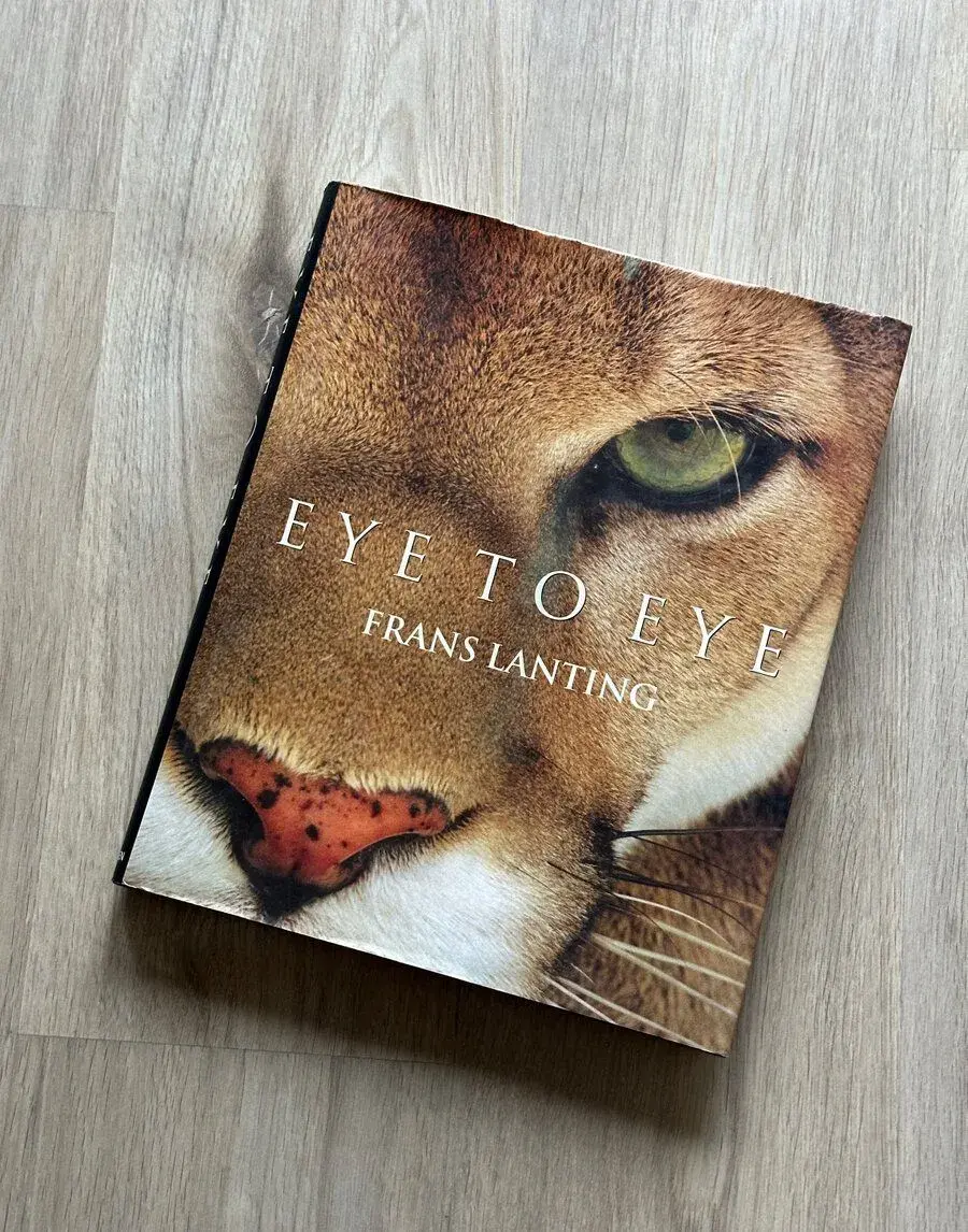 Eye to eye