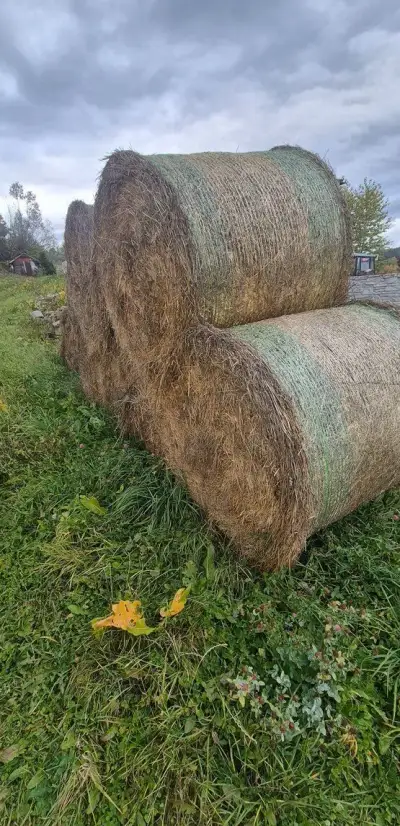 Veľké okrúhle balíky seno
