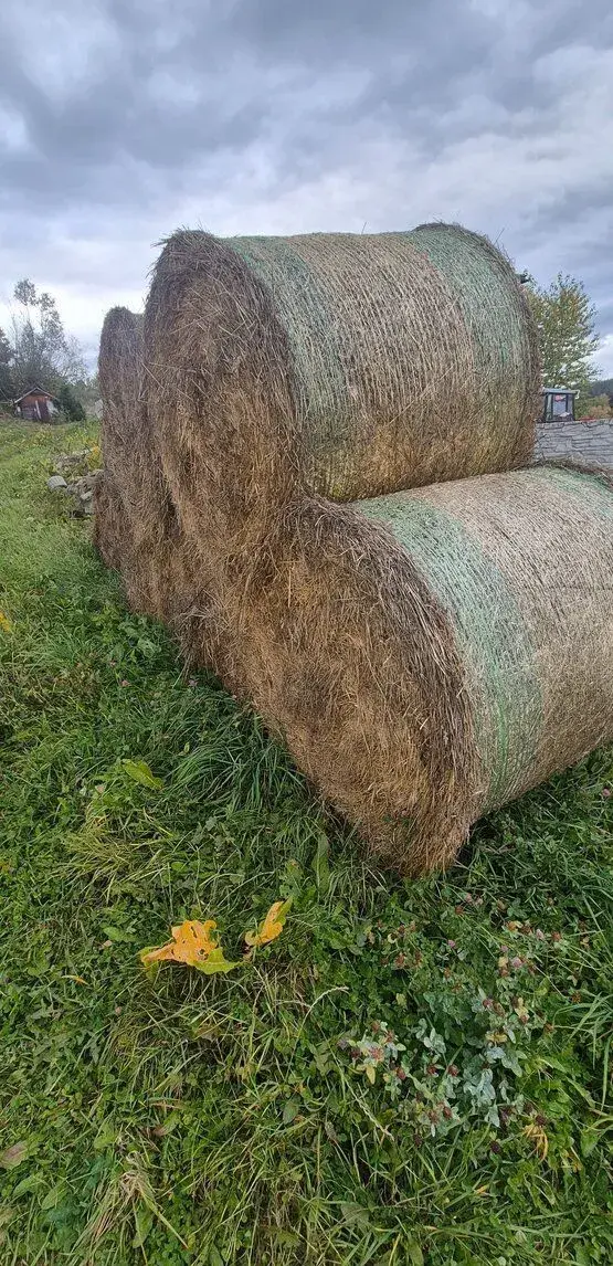 Veľké okrúhle balíky seno