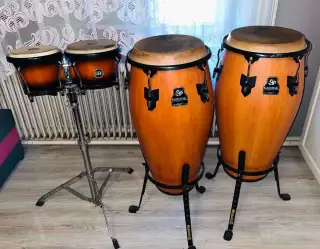 Bonga a Conga
