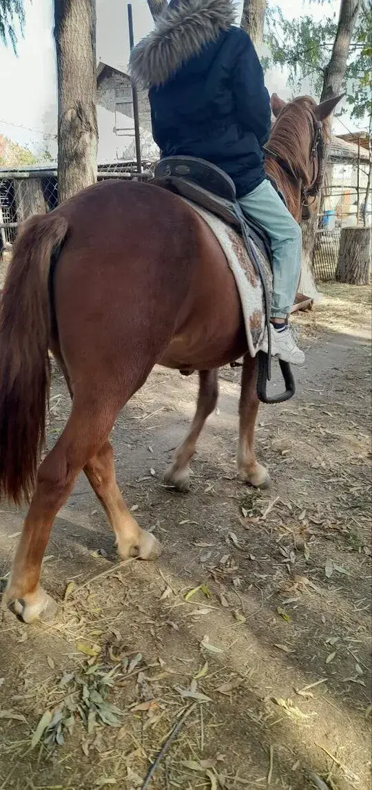 Napredaj