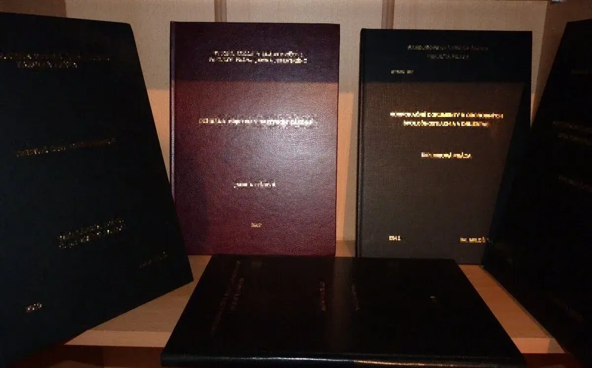Bak., Dip., Rig., Diz., MBA a LL.M. práce profesionálne