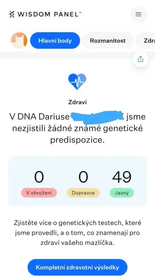 KOCÚR RAGDOLL BLUE BICOLOR s PP NA KRYTIE