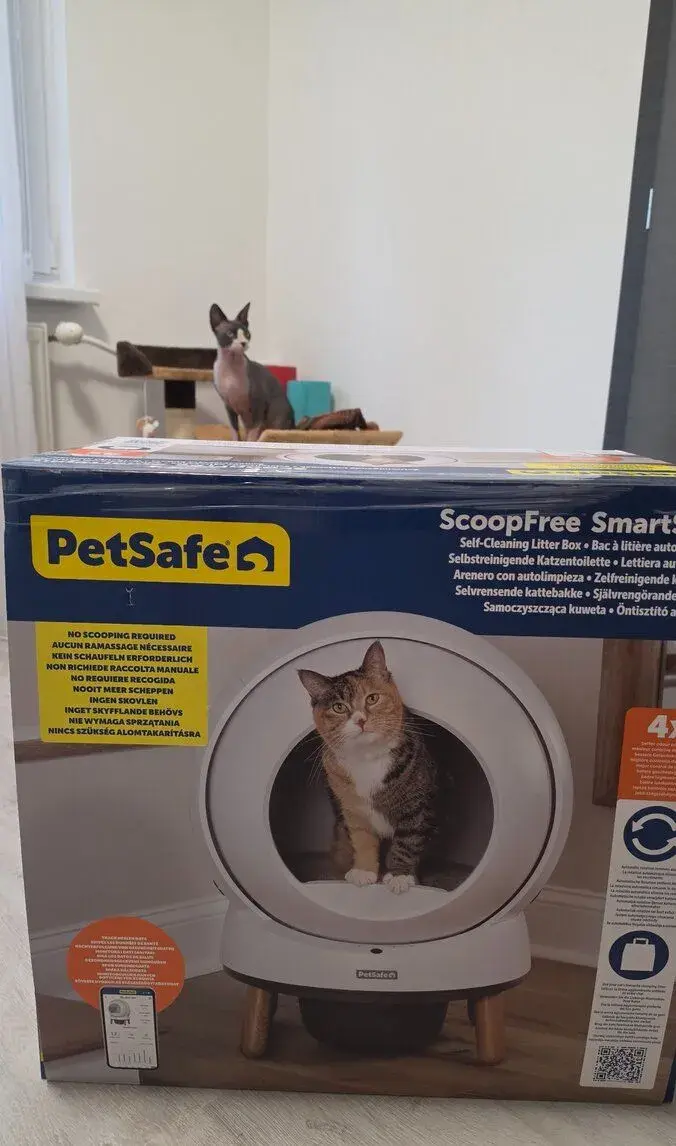 Toaleta pre mačky
