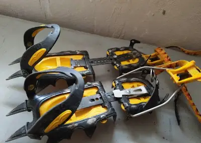 Mačky Grivel G12