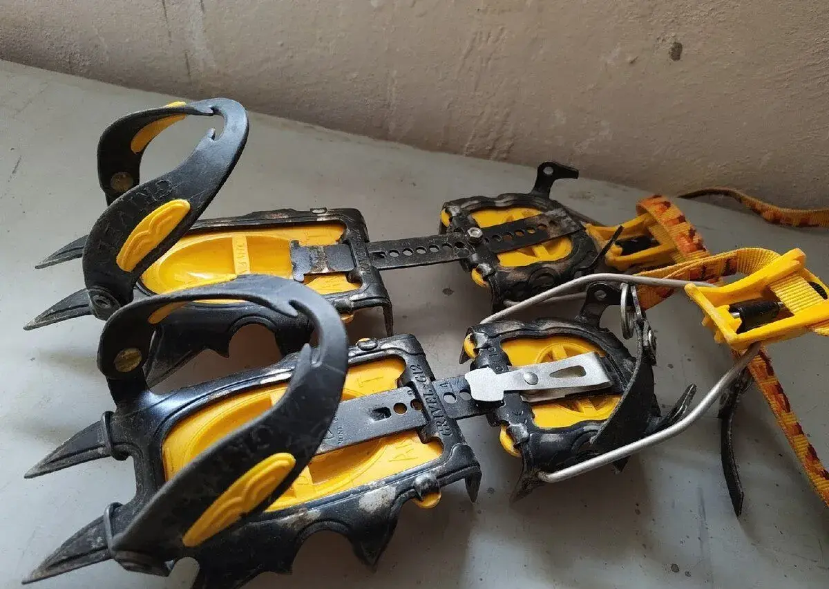 Mačky Grivel G12