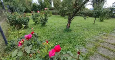 📞VEĽKÁ ZÁHRADA 10á v KE - Nad Jazerom