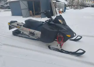 ski doo 800 summit everest (karburator)