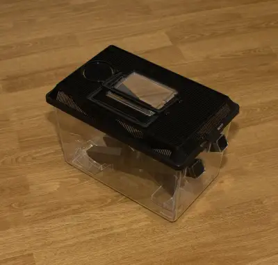 Box na kŕmny hmyz