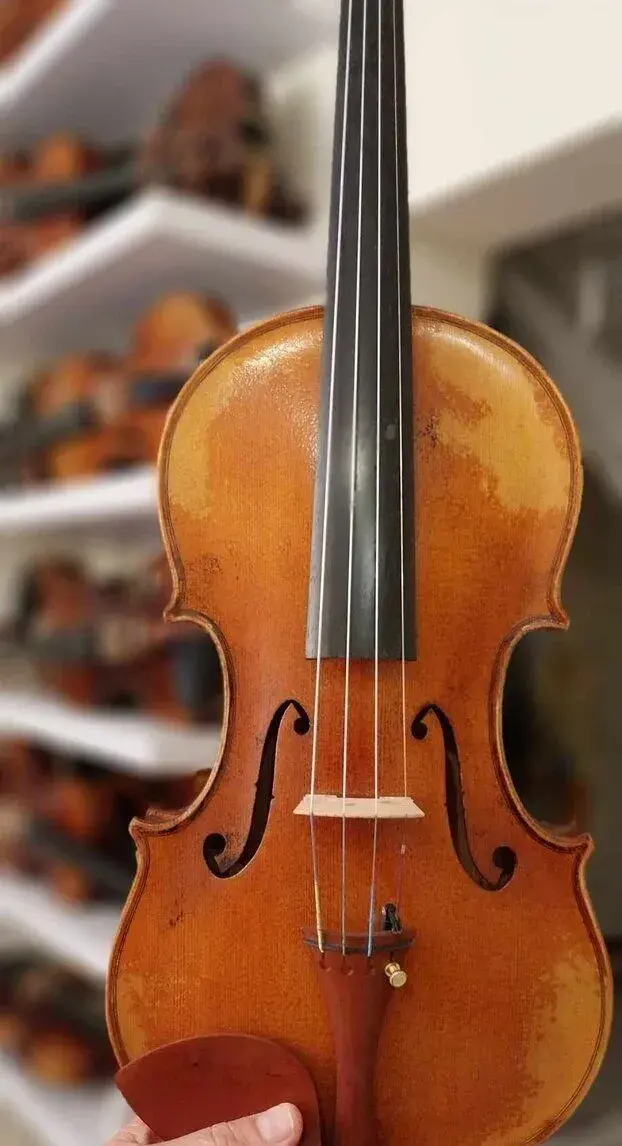 husle 4/4 Guarneri Del Gesu