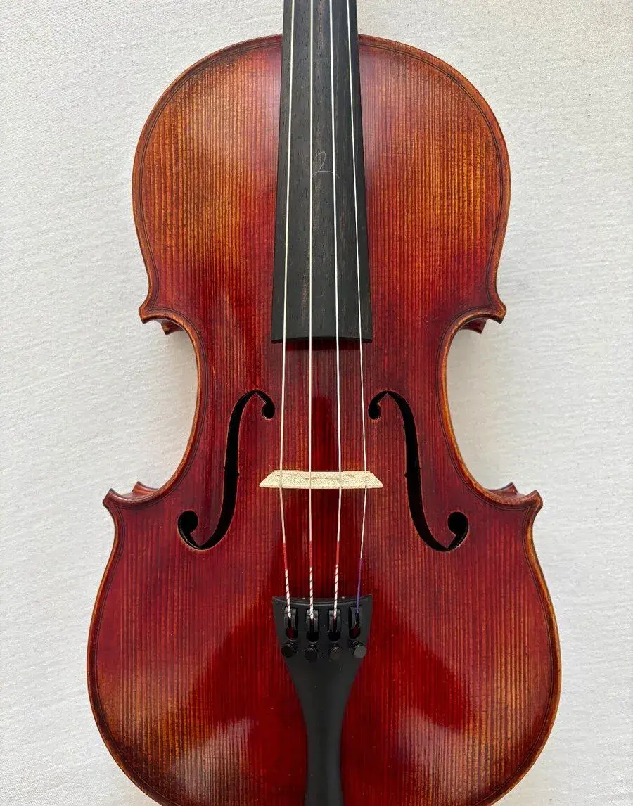 Viola