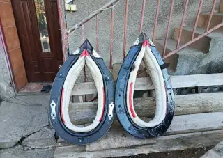 Chomut