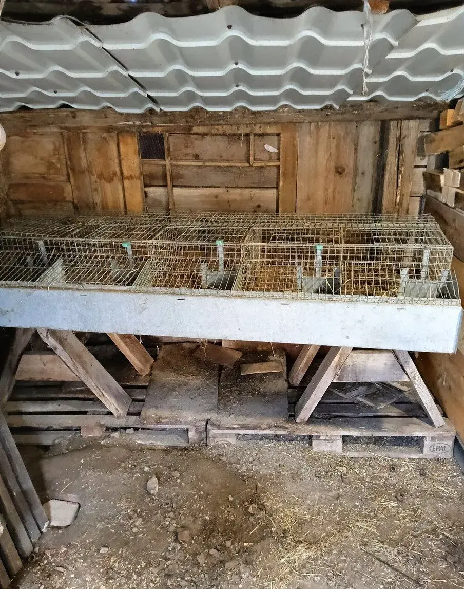koterec