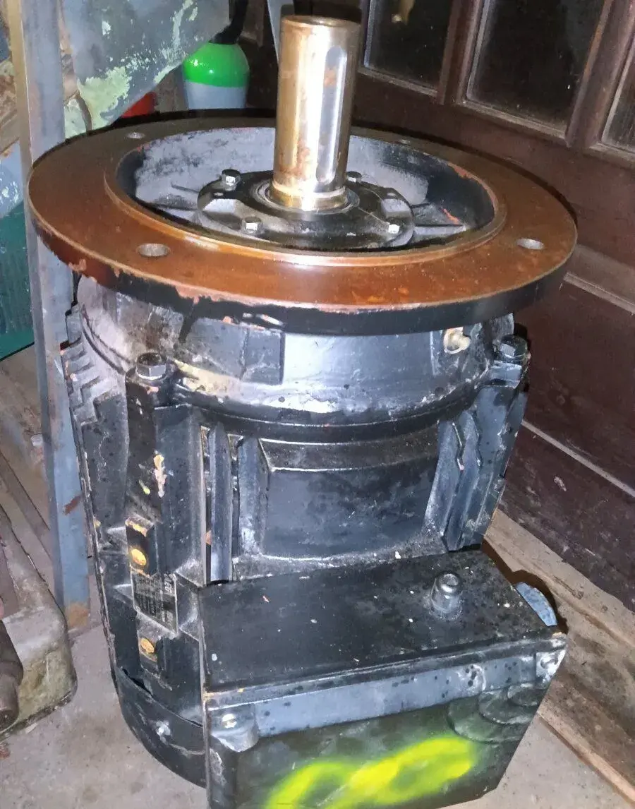 Elektromor