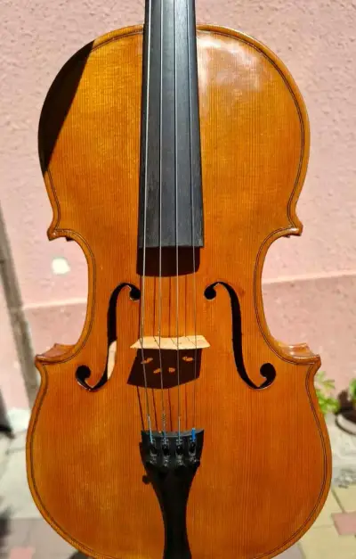 Violu