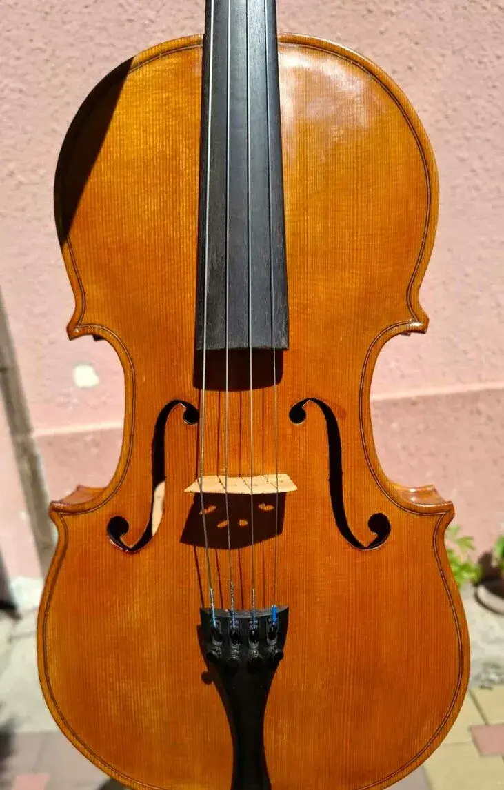 Violu