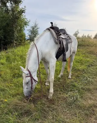 Zvažujeme predaj