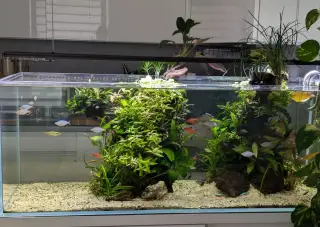 Akvárium Optiwhite 120x45x45