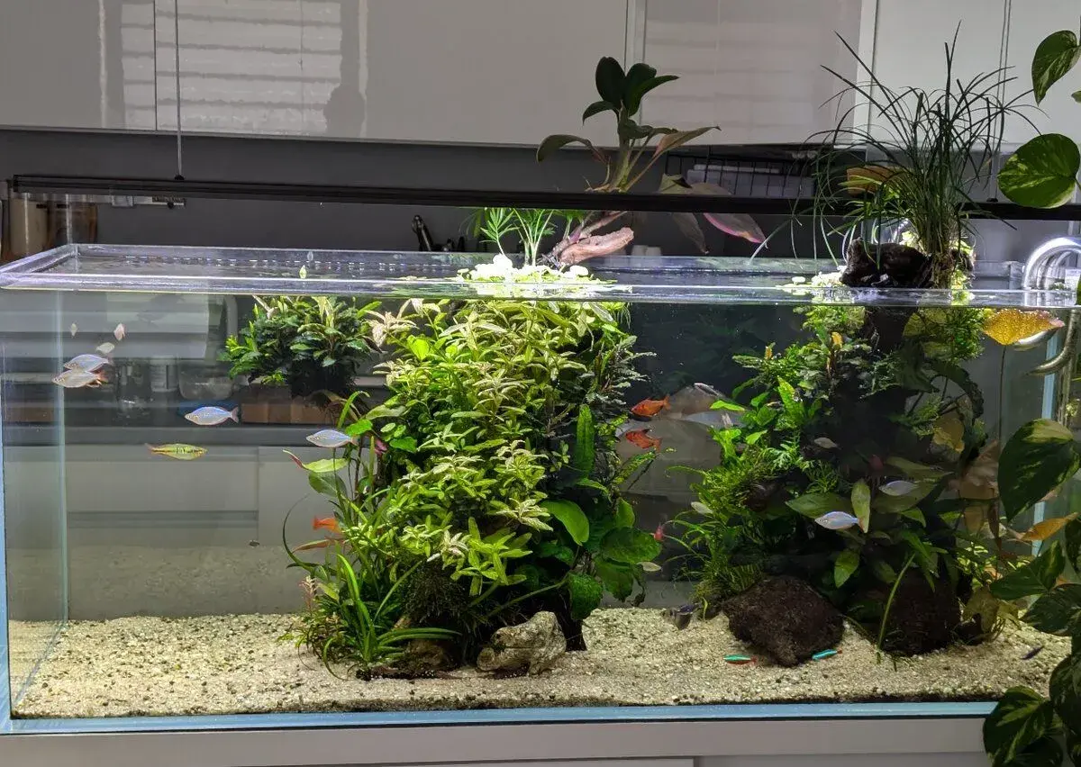 Akvárium Optiwhite 120x45x45