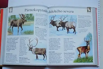 Rozprávky + Počasie + Encyklopédia+Zvieratá a les