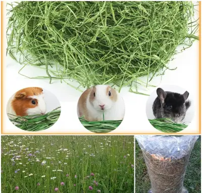 Lúčne seno pre drobné cicavce balené 4 KG posielam poštou