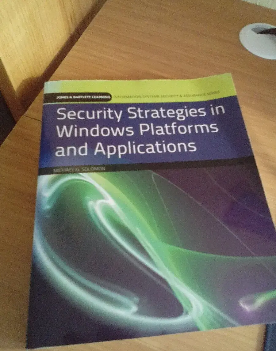 Security Strategies in Windows Platforms and Applications