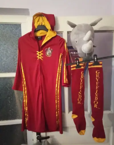 Karnevalova maska Harry Potter