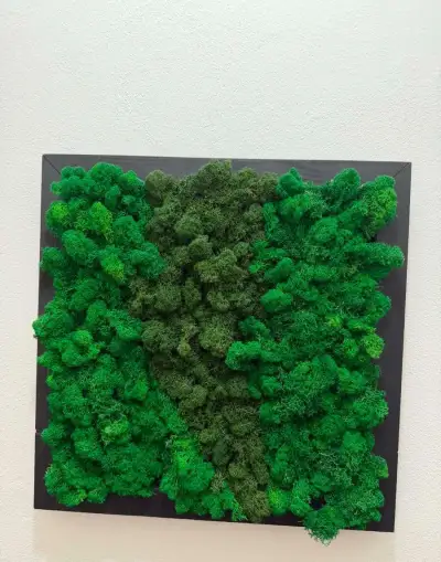Machovy obraz 49x 49 cm
