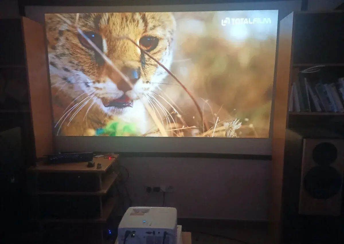 Projektor Optoma ZW350ST LED