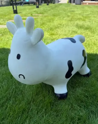 Skákací bull