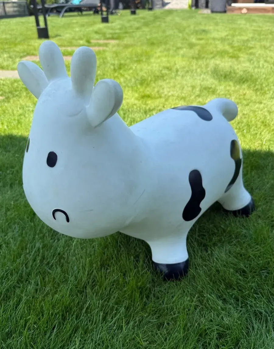 Skákací bull
