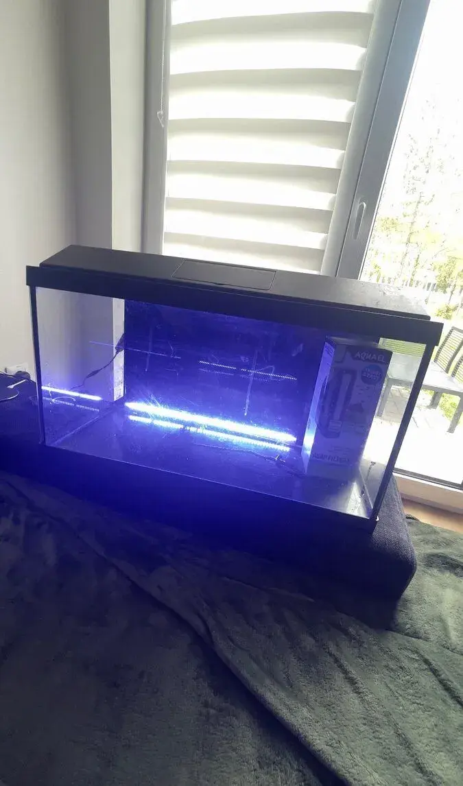 akvarium
