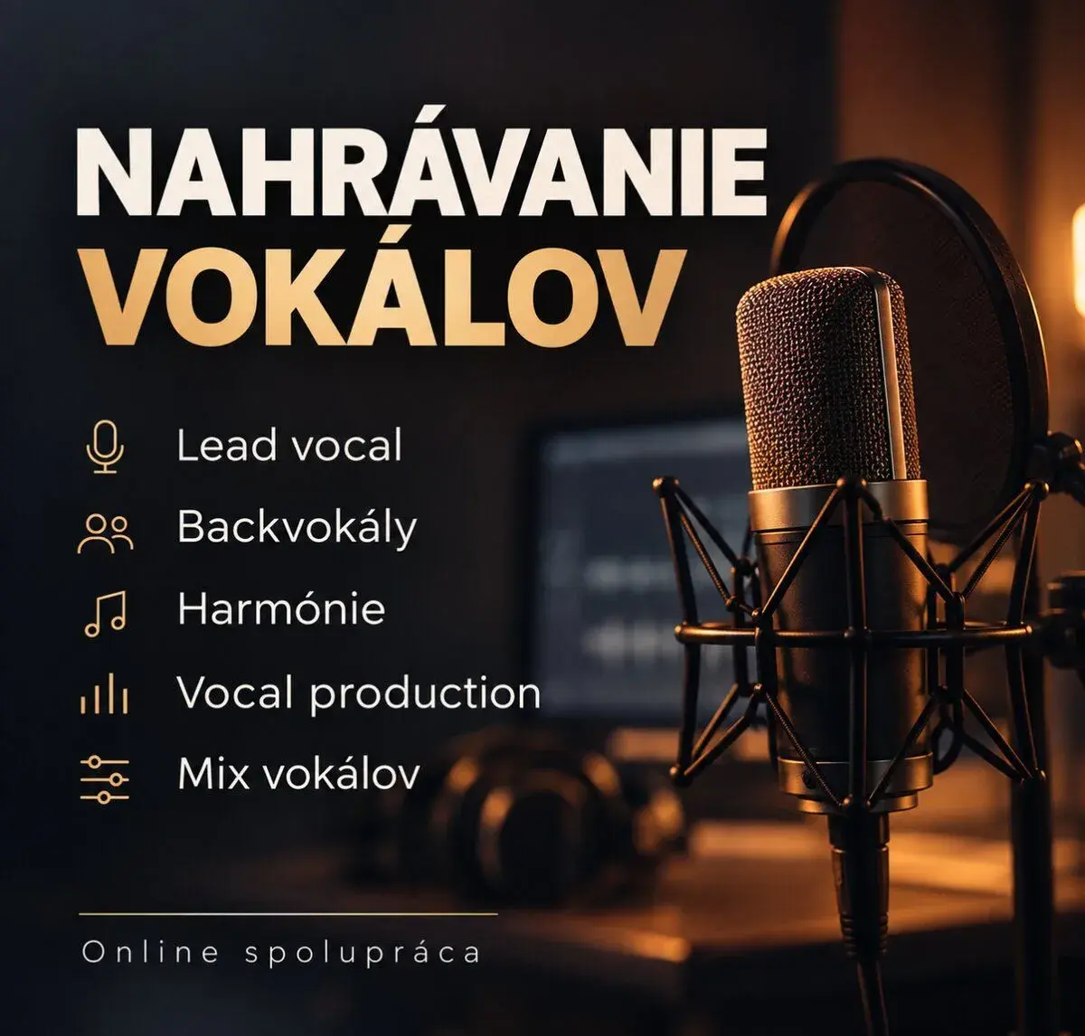 Nahrám lead vokály, backing vocals a harmónie
