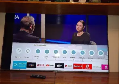 65" QLED Smart TV Samsung QE65Q65R s CHYBOU OBRAZU