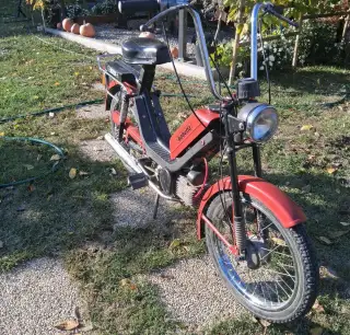 Babetta 210