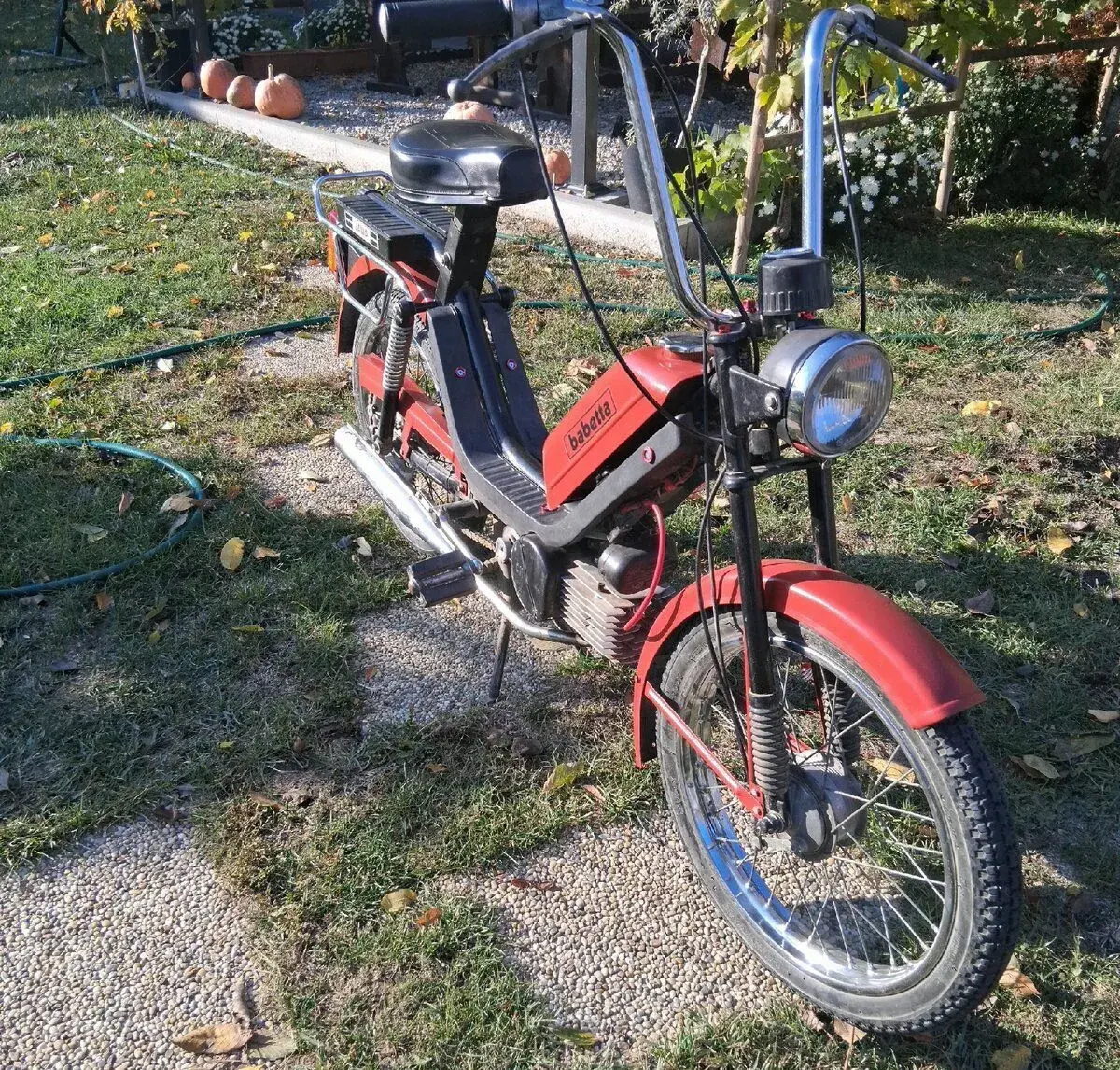 Babetta 210